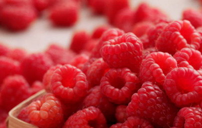Малини (Rubus idaeus) Малини (Rubus idaeus)